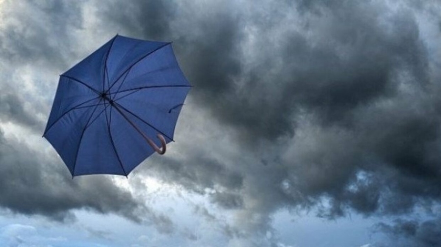 След снощния вятър: Над 120 сигнала за паднали клони, дървета и ламарини в София