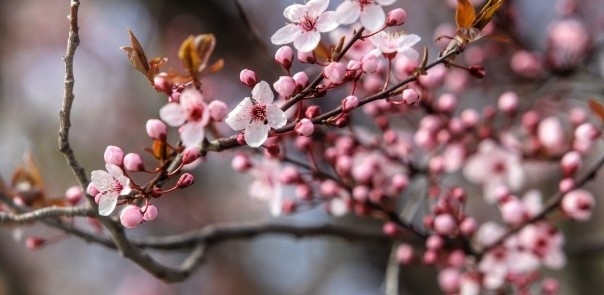 Днес с променлива облачност и на места с валежи. Максималните температури ще са между 17° и 22°