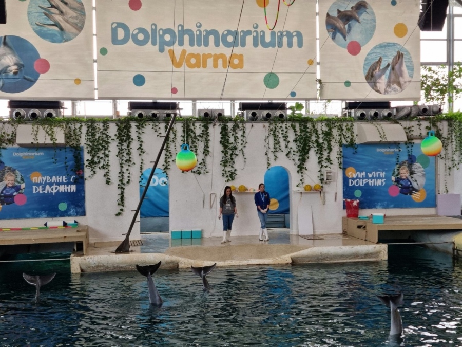 Делфинариум Варна очаква децата през ваканцията