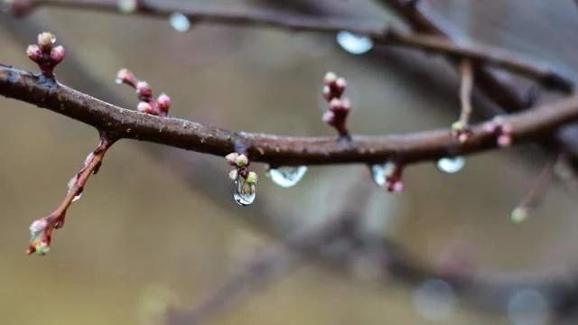 Времето днес: Максималните температури ще бъдат между 13° и 18°