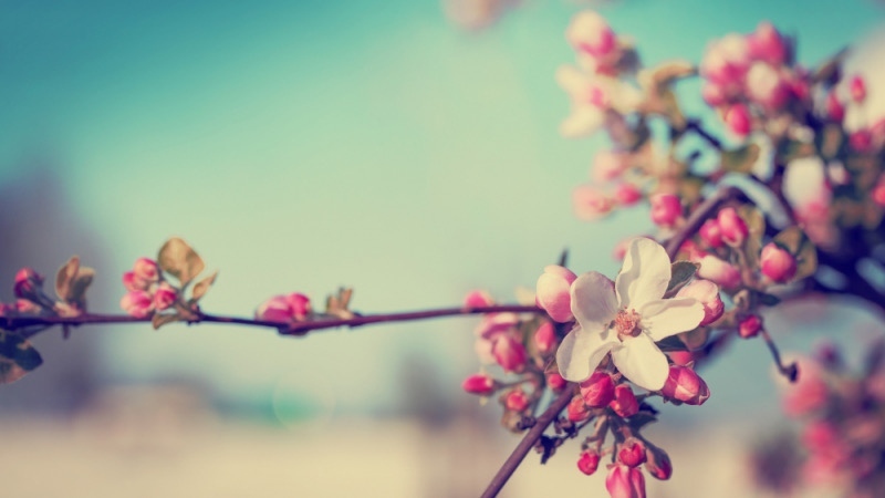 Днес се очаква рязко и съществено застудяване 