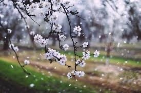 Днес се очаква рязко и съществено застудяване 