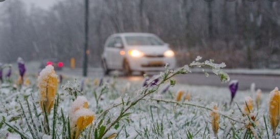 Днес облачно с валежи от дъжд и сняг. Максималните температури ще са между 8° и 13°