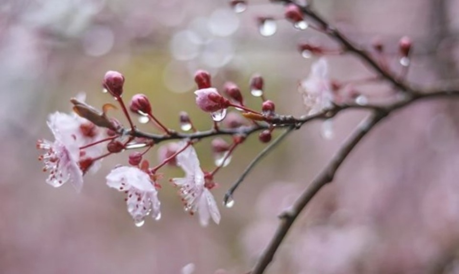 Днес облачно с валежи. Максималните температури ще са между 19° и 24°