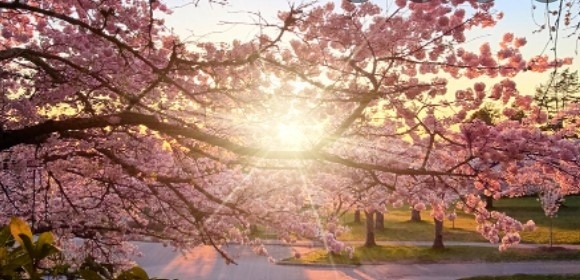 Днес предимно слънчево, на места с валежи. Максималните температури ще са между 19° и 24°