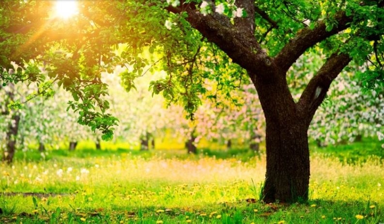Днес слънчево и топло. Максималните температури ще са между 23° и 28°