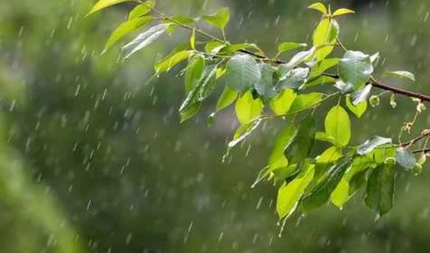 Днес на много места ще вали. Максималните температури ще са между 25° и 30°