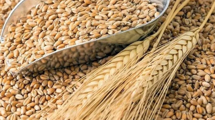 Китай иска зелен коридор за износа на зърно от Русия и Украйна