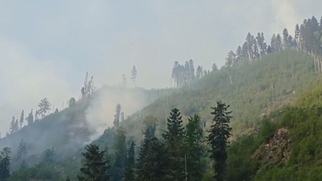 Овладян е пожарът в Рила