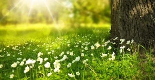 Днес слънчево с максимални температури между 27° и 32°
