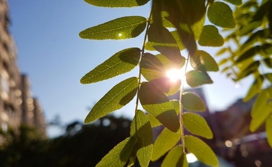 До обяд слънчево, следобяд с валежи. Максималните температури ще са между 24° и 29°