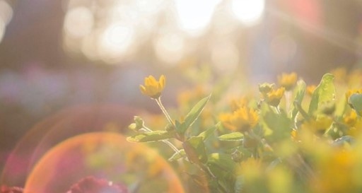 Днес до обяд слънчево, след обяд на места с валежи. Максималните температури ще са между 24° и 29°