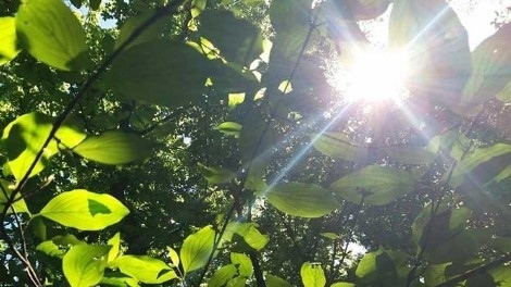 Днес променлива облачност с максимални температури между 27° и 32°