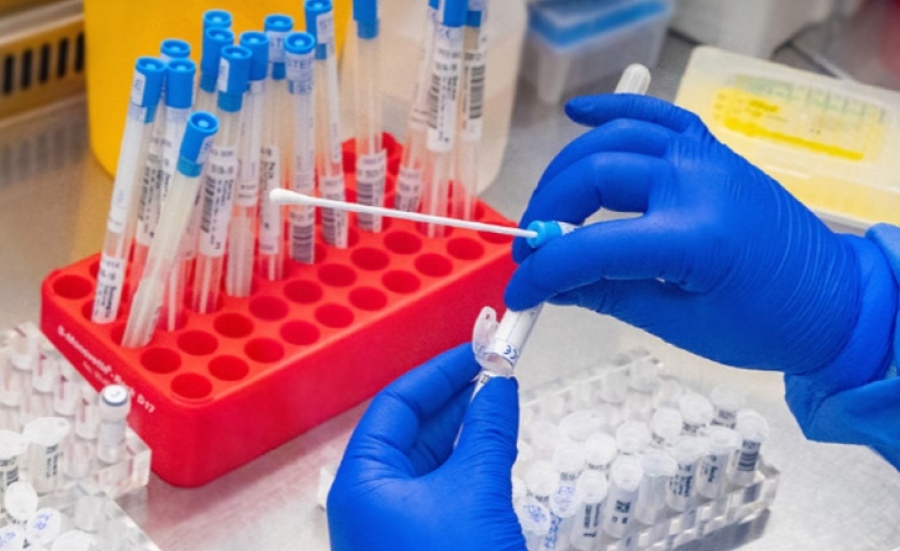 240 са новите случаи на коронавирус