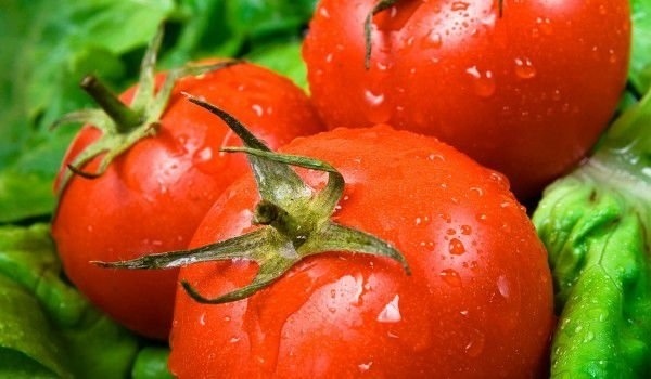 Лекар: Болестите, от които ни предпазват доматите