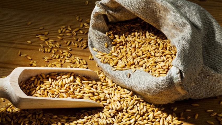 Украйна разполага със зърно за продан за около 10 милиарда долара