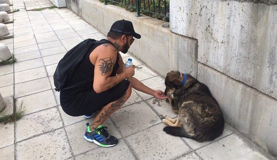 Не забравяйте, че и животните са жадни в жегите – ето как да им помогнем!