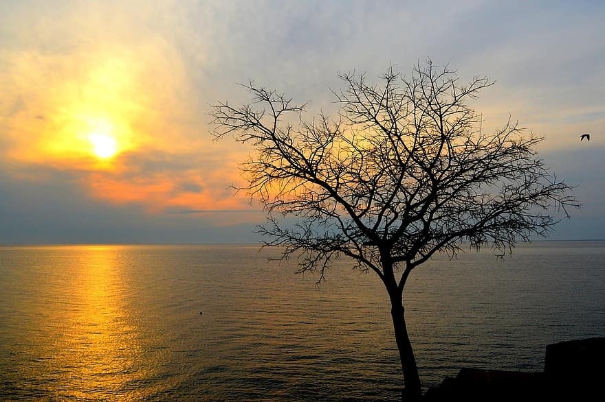 Времето днес: Максималните температури ще са между 33° и 38°