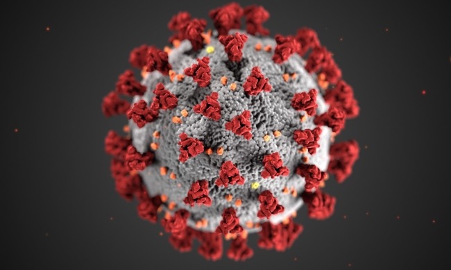2318 са новите случаи на коронавирус у нас за последното
