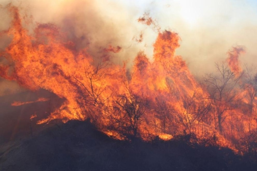 Три пожара горят в Бургаско, възрастен мъж почина от задимяване