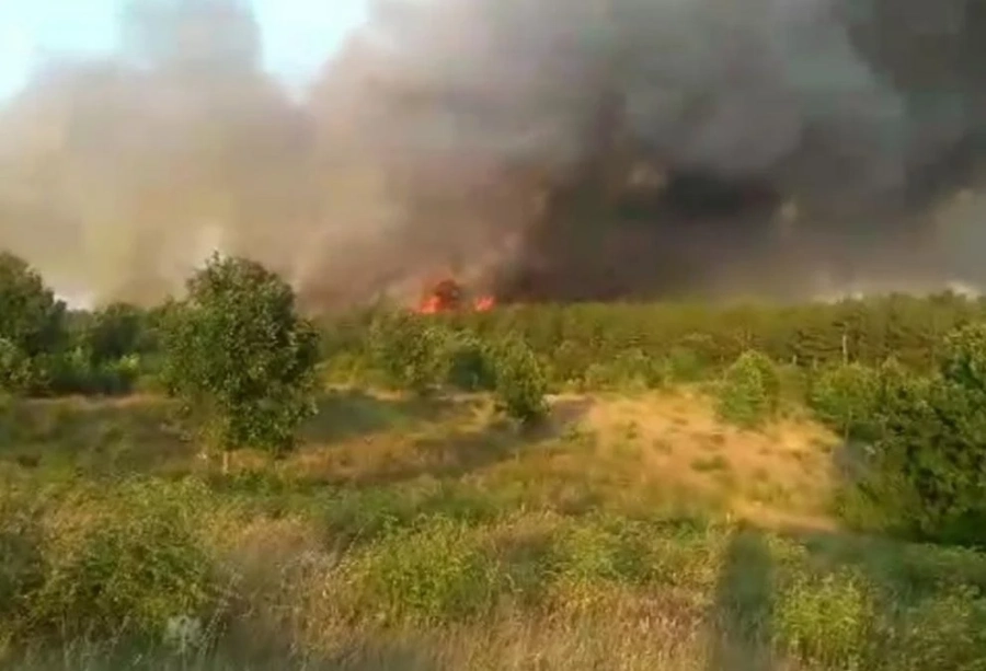 Пожар гори в Сакар планина