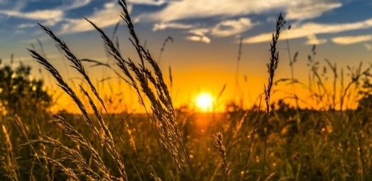 Днес слънчево с максимални температури ще са между 25° и 30°