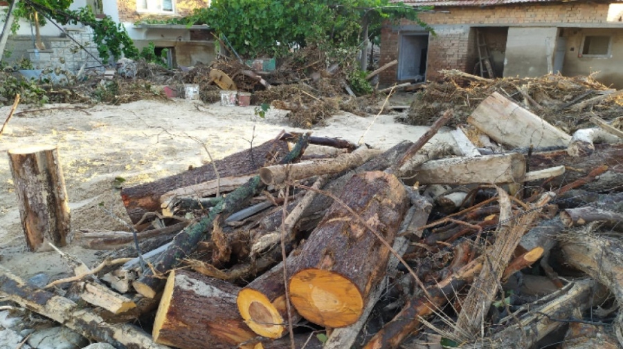 Министър Демерджиев се включва в проверката за незаконна сеч край наводнените села в Карловско