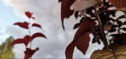 Днес облачно с валежи. Максималните температури ще са от 27° до 34°