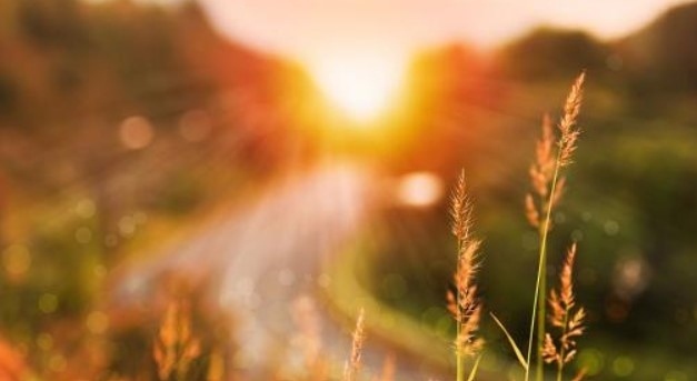 Днес слънчево с максимални температури между 24° и 29°