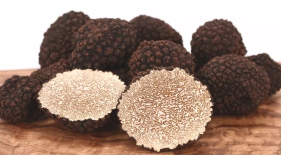 България добива много трюфели, но други печелят