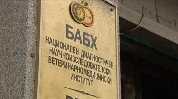 БАБХ започва проверки в училищните столове и бюфети
