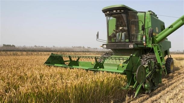 Зърнопрозиводители: Внасяното жито от Украйна е опасно, смесват го с българска пшеница