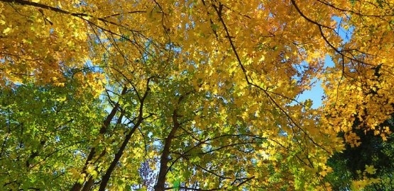 Днес слънчево с максимални температури  25° и 30°  