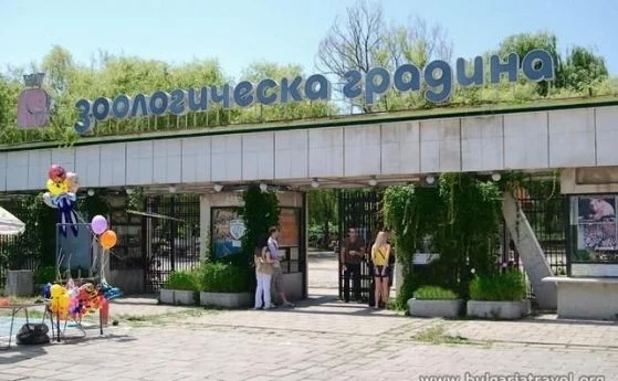 За първи път от 30 г.: Зебра се роди в столичния зоопарк  