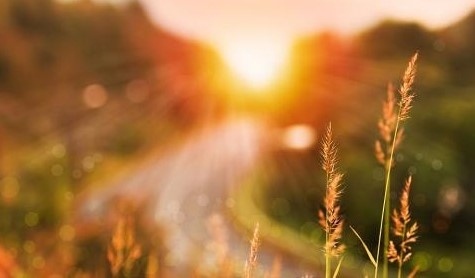 Днес слънчево, но студено. Максималните темпуратури ще са между 18° и 23°