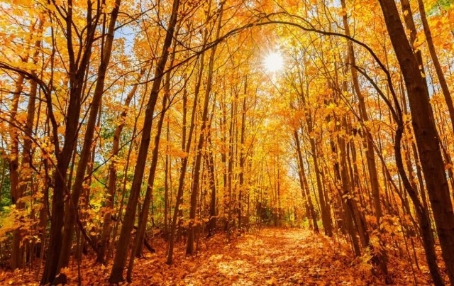 Настъпи есенното равноденствие и започна астрономическата есен