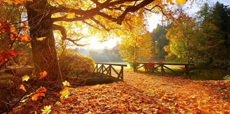 Времето днес: Максималните температури ще бъдат между 18 и 23 градуса