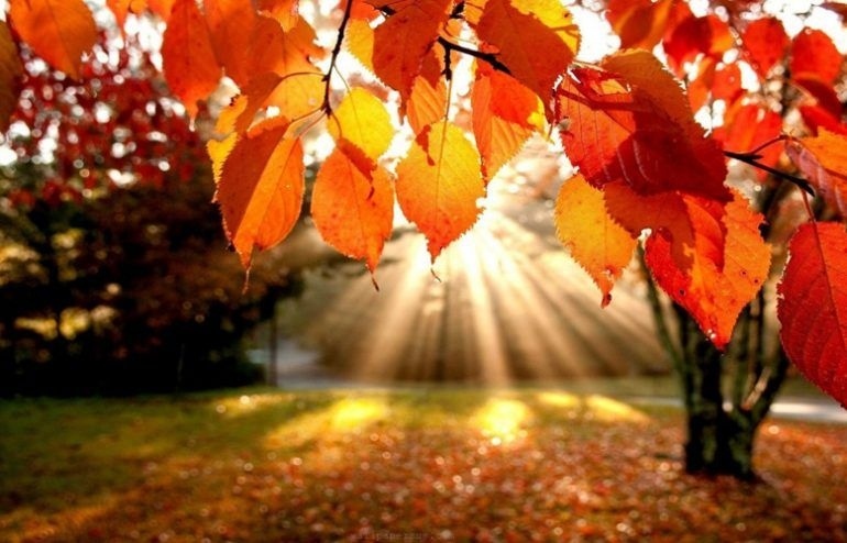 Времето днес: Максималните температури ще бъдат между 23 и 28 градуса