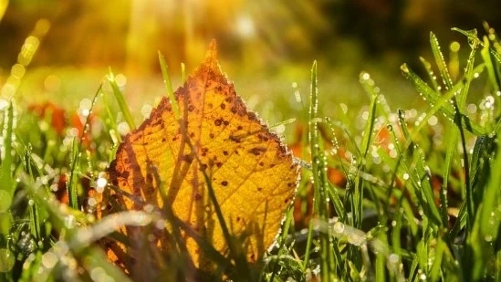 Днес слънчево с с максимални температури между 25° и 30°