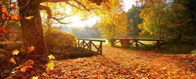 Днес облачно, като след обяд на места с валежи. Максималните температури ще са между 27° и 32°