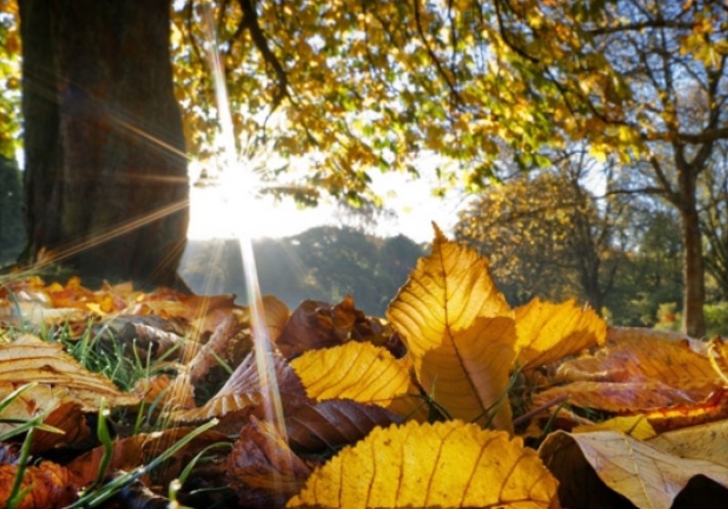 Днес слънчево с вятър. Максималните температури ще са между 21° и 26°
