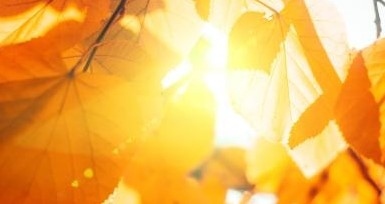 Днес слънчево с максимални температури между 21° и 26°