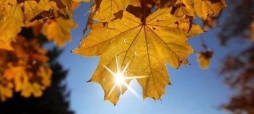 Днес слънчево с максимални температури между 21° и 26°