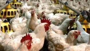 Огромни промени за Градус АД, най-големите акционери излизат от управителните органи