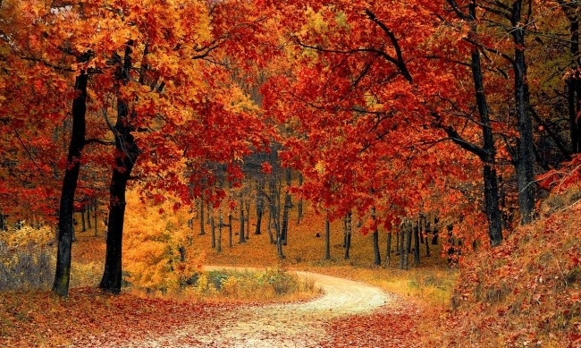 Времето днес: Минималните температури днес ще бъдат между 7° и 13°