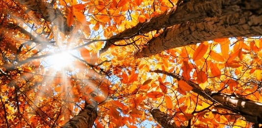 Днес сълнчево с максимални температури между 19° и 24°