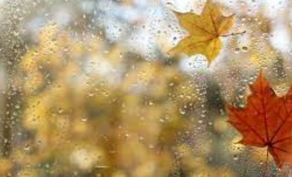 Днес облачно с валежи. Максималните температури ще са между 11° и 16°