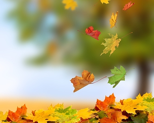 С мъгла или ниска облачност ще започне 15 ноември 