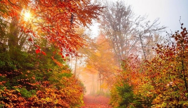 Днес облачно с максимални температури между 12° и 17°