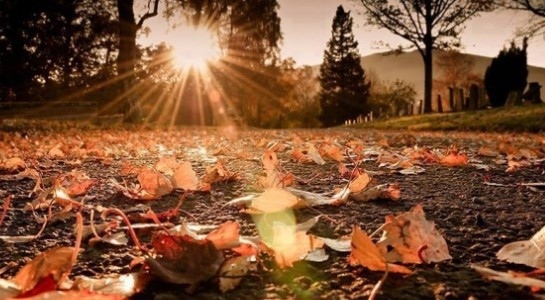 Днес слънчево с максимални температури между 10° и 15°